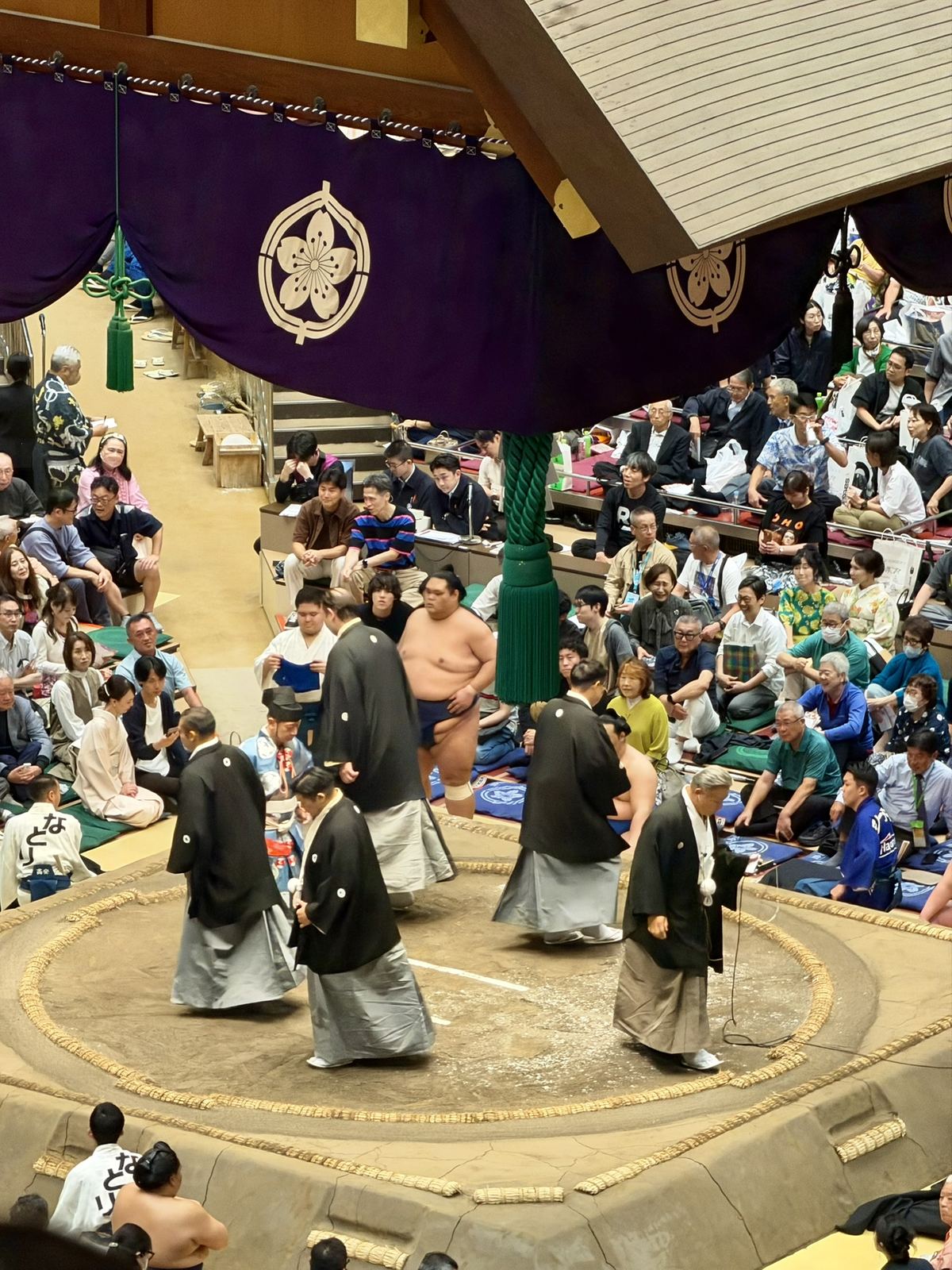 紫の水引幕の下、土俵を横切る黒紋付の審判たちと、土俵際で待つ力士